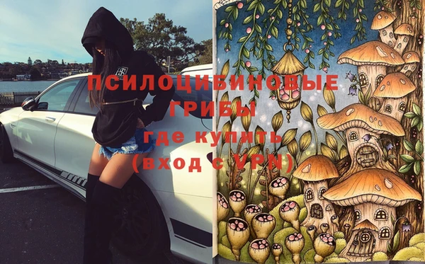 прущий лед Аркадак