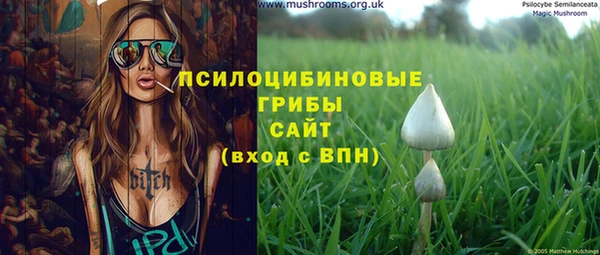 прущая мука Армянск