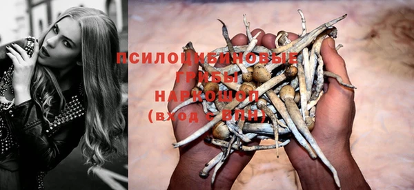 прущий лед Аркадак
