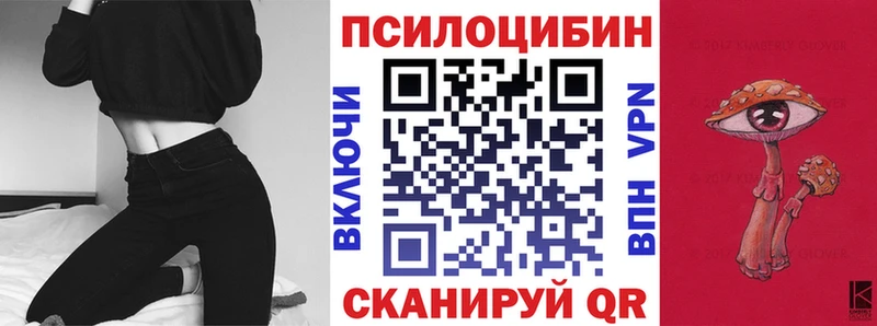 наркотики  Минусинск  Псилоцибиновые грибы Psilocybine cubensis 